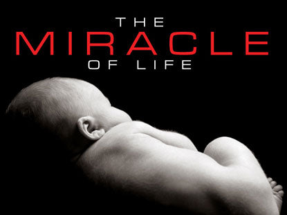 The Miracle Of Life (1996) - Lennart Nilsson DVD Online Hot Sale